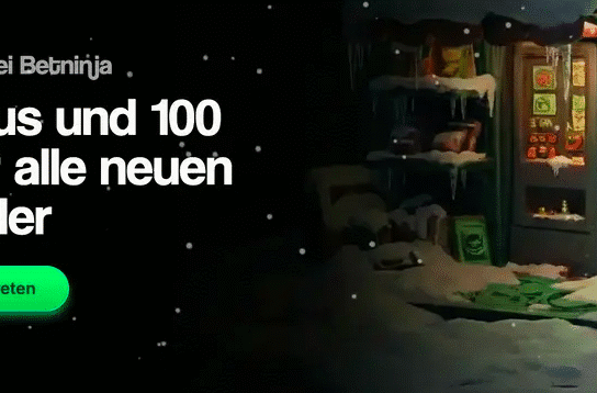 Betninja Casino Bonus ▷ 1000 € + 100 Free Spins