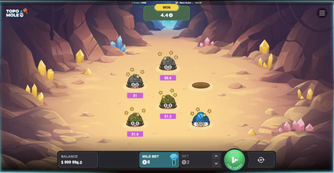 Analyse complète Topo Mole