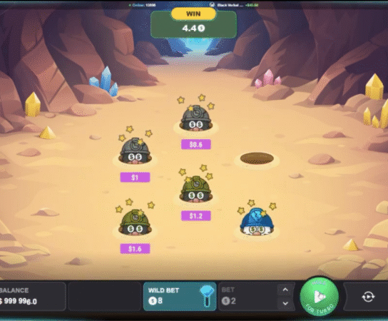 Analyse complète Topo Mole